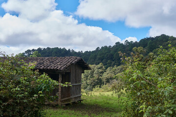 Wooden house with green trees and blue sky in the background