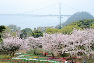 海辺の公園の朝