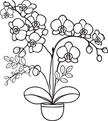 Cute flower coloring pages, Orchid flower line drawing, Orchid flower drawing, Hand drawn botanical spring elements bouquet of calla line art coloring page, easy flower drawing. calla flower wall art
