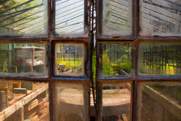 puertas de invernadero