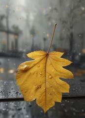 Obraz premium A solitary yellow autumn leaf falls on a rainy day, glistening with raindrops on the glass windowpane, creating a sense of melancholy atmosphere, serene landscape, melancholic atmosphere