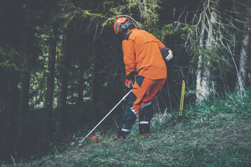 Man holding a brushcutter cut grass and brush. Lumberjack at work wears orange personal protective...