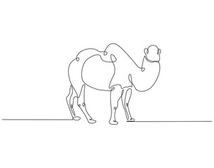 Continuous line drawing of camel. Single line illustration of arabian camel. Dessert animal, dromedary vector outline. Editable outline