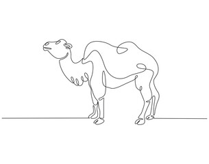 Continuous line drawing of camel. Single line illustration of arabian camel. Dessert animal, dromedary vector outline. Editable outline
