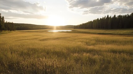 Obraz premium Sunset over a serene golden meadow with a calm lake and distant forest.