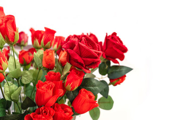 Obraz premium Artificial flowers Red flowering rose bush as frame border isolated on white background included. suitable for graphic projects Card Banner Valentine, Love, Wedding.