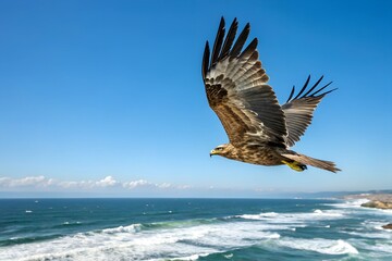 A falcon soars majestically over the sea.