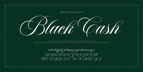 Signature Font Calligraphy Logotype Script Font Type Font lettering handwritten