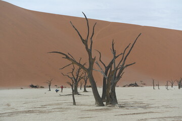 Namibia Death Valley Dune