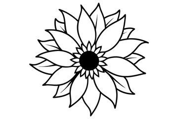 Sunflower Line Art Vector Illustration