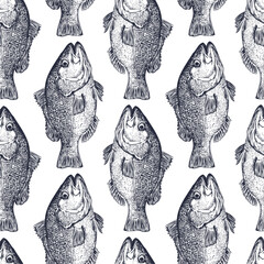 Great graphic seamless vector pattern with fish. Pattern without background is ideal for packaging salted and dried fish, fish snacks. Dorado, sea bass, roach, loin, siskin, bream. Pattern for bar.