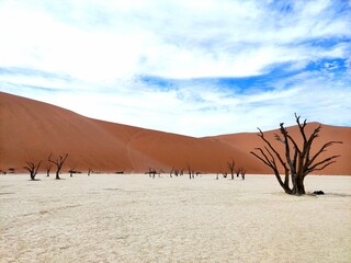 Namibia Death Valley Dune
