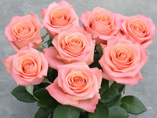 Fototapeta premium Peach Roses Bouquet Illustration