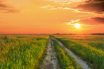 Rural Countryside Road Through Green Wheat Field. Spring Season. Colorful Dramatic Sky At Sunset Sunrise With Sun