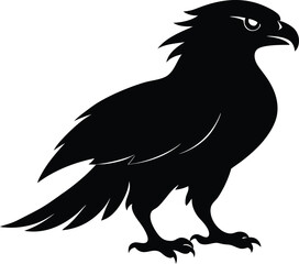 tailed hawk  Silhouette,tailed hawk bird vector icon