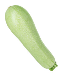 One fresh ripe zucchini isolated on white
