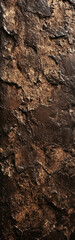 Brown abstract background. Dark walnut rock texture. Brown stone surface with copy space for design.
