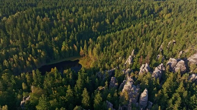 Aerial view of cerne jezirko lake surrounded by beautiful autumn forest and rock formations, Teplice nad Metuji, Czech Republic.