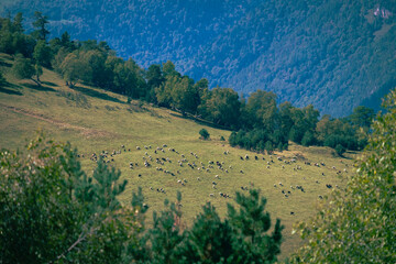 landscape with mountains
