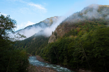 autumn in the mountains