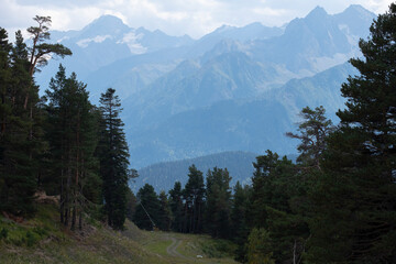 landscape with trees and clouds