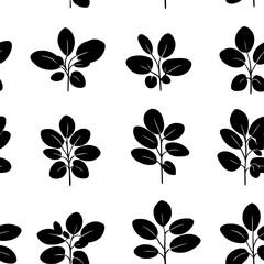 Fototapeta premium Collection of Fenugreek icons, Fenugreek vectorized seamless pattern