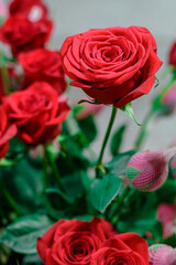 red roses