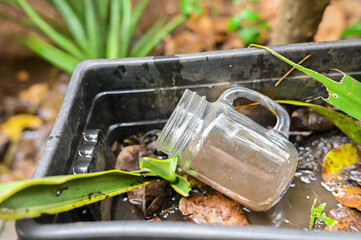 stagnant water Epidemic. possible breeding mosquitoes. proliferation of aedes aegypti, dengue...