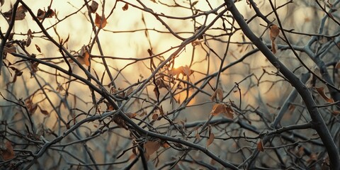 Dendrology showcases a frequent grid of branches with abundant overstocking and dry leaves, symbolizing winter dormancy--the period of growth stoppage and a state of uncertainty under the setting sun.