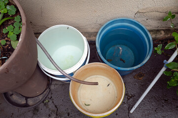 stagnant water Epidemic. possible breeding mosquitoes. proliferation of aedes aegypti, dengue...