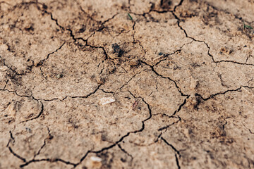Dry cracked earth texture showing severe drought, a consequence of climate change and global warming, with deep cracks forming intricate patterns on the parched surface