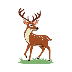 Hand drawn animal deer illustration