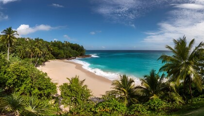Tropical Beach Paradise Palm Trees White Sand Turquoise Ocean