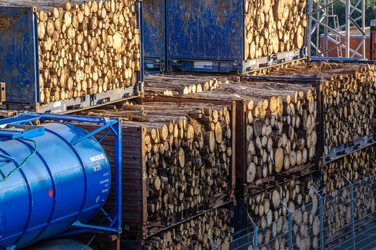 Stacked logs in shipping containers at lumber yard of cargo port on