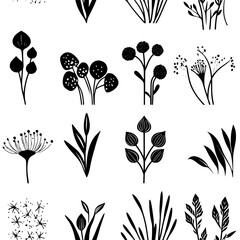 Collection of Wild Garlic vector icons, Wild Garlic vector art pattern
