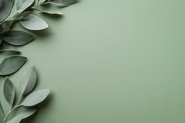 Ingelijste posters Ziekenhuis gentle sage green background with faint gradient and leaves, creating serene and calming atmosphere. Perfect for nature themed designs or backgrounds  © Marut