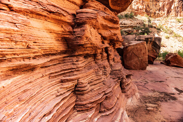 Capitol Gorge Trail in Capitol Reef National Park