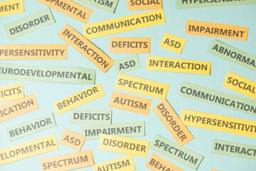 ASD autism neurodevelopmental spectrum disorder, deficits in social communication and interaction, brain with impairment, hypersensitivity and abnormalities
