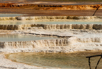 Grassy Spring colors in Mammoth Hot Springs area of Yellowstone National Park, Wyoming