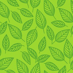 Fototapeta premium seamless background with leaves