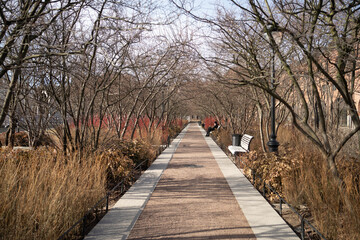 wooden bridge in the park