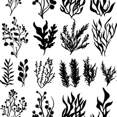 Fototapeta premium Collection of Seaweed vector icons, Seaweed vector art pattern