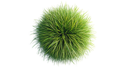 Green grass ball, white isolate background