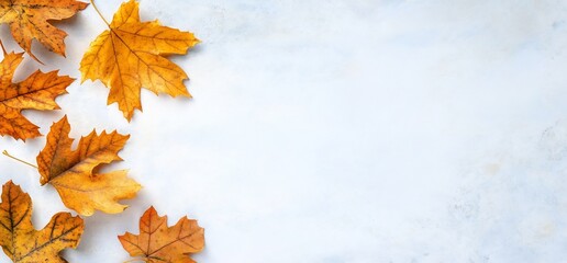 Autumn Leaves on a Light Background - Seasonal Nature Scene for Decorative Use