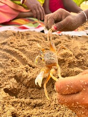 child playing on the beach