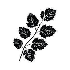 Decorative Leaf Silhouette set Clipart on a white Background
