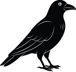 Halloween Crow Vector Silhouette illustration black color, crow bird vector
