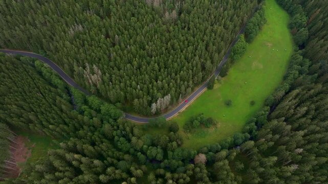 Aerial view of lush forest with a winding road and a car, Nova Ves, Czech Republic.