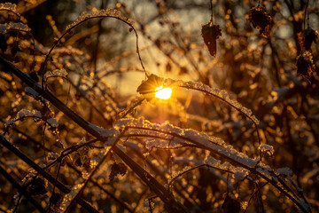 Sunrise with orange sun and winter snowy landscape near Nepomuk town