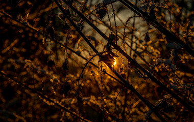 Sunrise with orange sun and winter snowy landscape near Nepomuk town